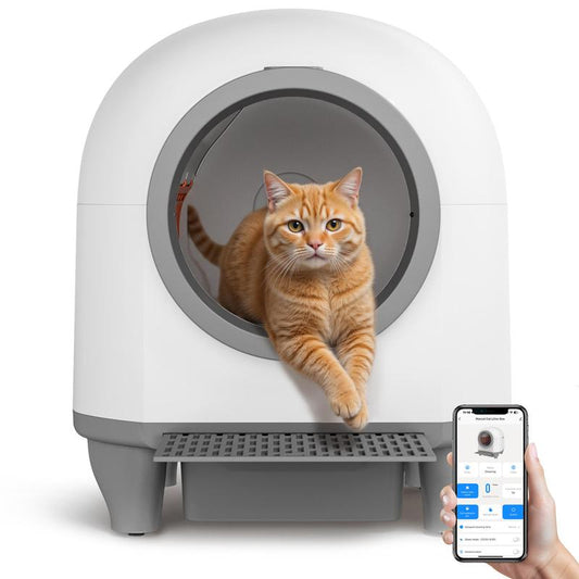 CatFlow™ - El arenero inteligente que se limpia solo